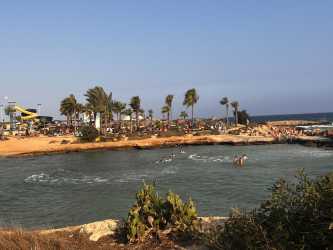 Protaras